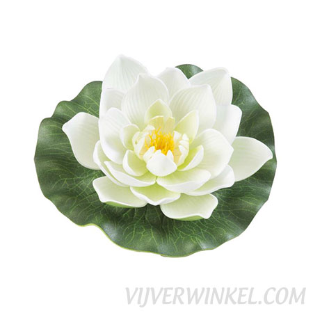 Velda Drijvende Vijverplant Lotus Wit 17 cm